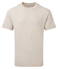 Anthem Heavyweight T-Shirt (AM015) Anthem